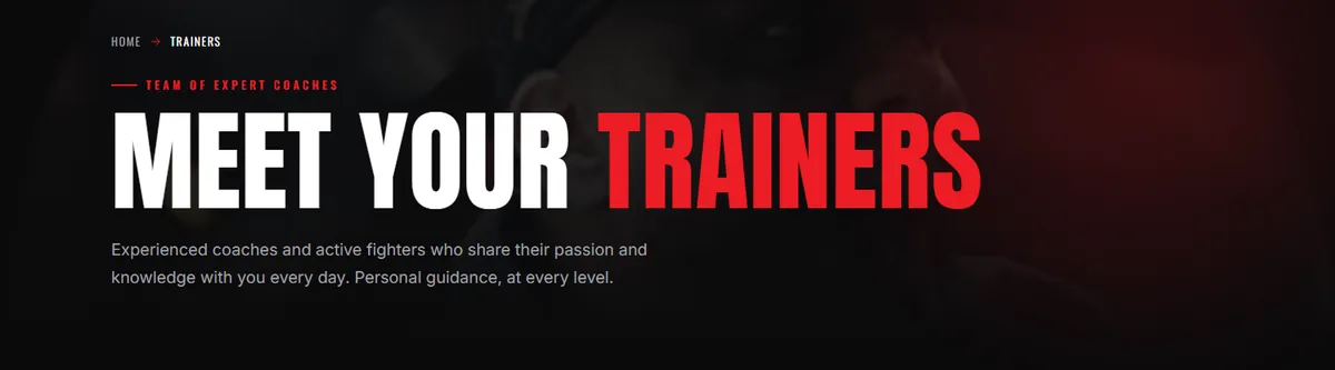 Trainerseite von Days Gym Almere mit der Überschrift „Meet your trainers“ und dem Hinweis auf erfahrene Coaches und aktive Kämpfer.