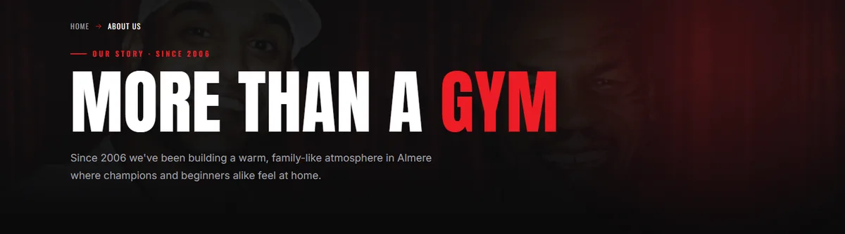 Over-ons-pagina van Days Gym Almere met de kop ‚More than a gym’ en de vermelding ‚sinds 2006’.